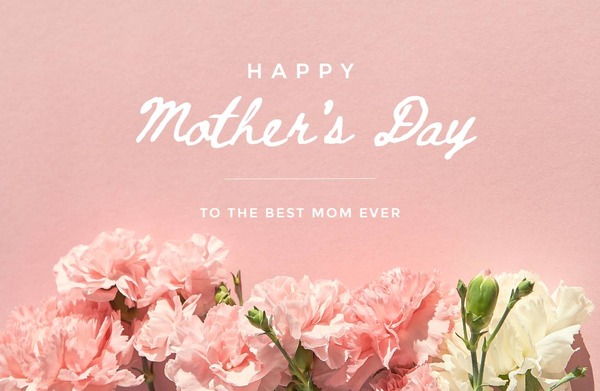 Pink Carnations Happy Mothers Day Picture