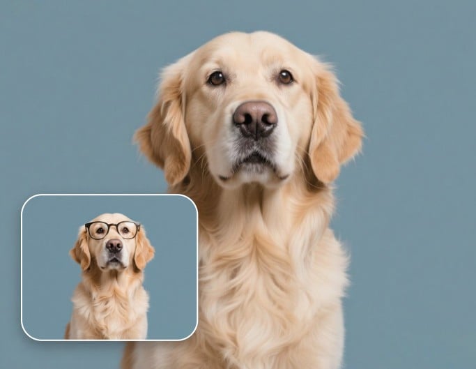 Retirer les lunettes des photos d'animaux