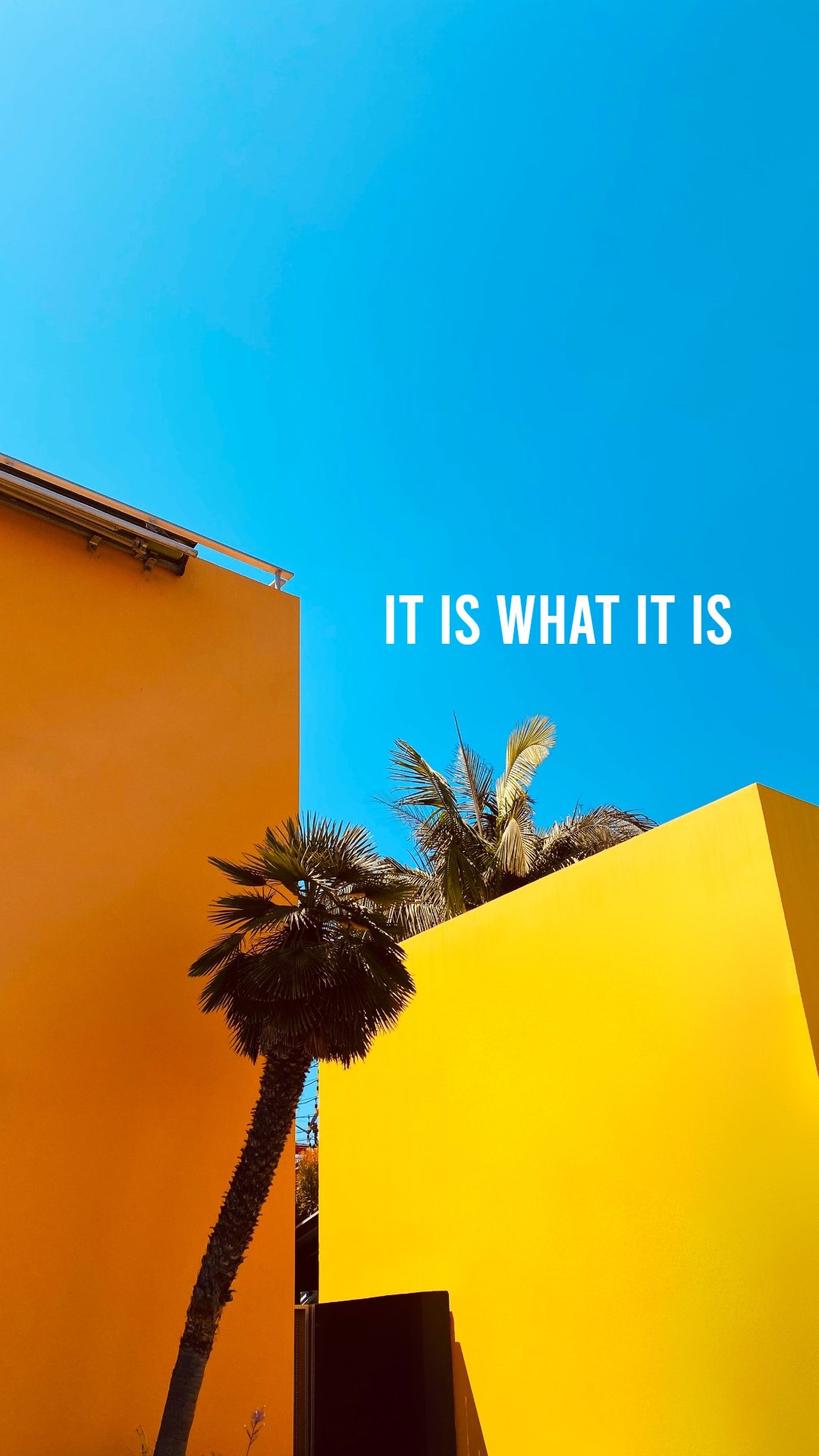 Yellow And Simple What It Is