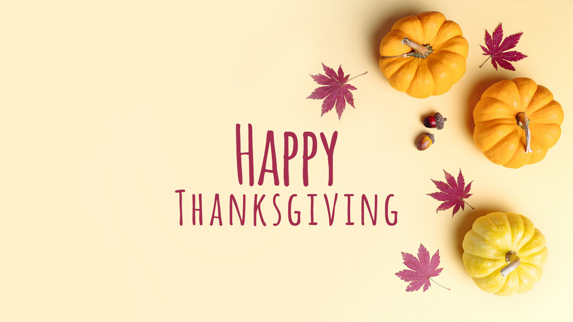 20+ Thanksgiving Wallpapers & Backgrounds for Your Holiday Celebration 2022  | Fotor