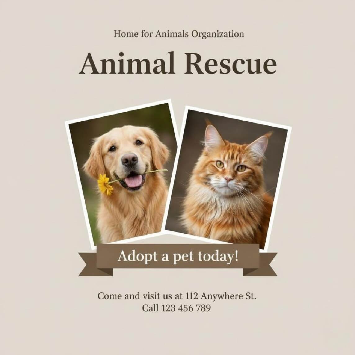 A pet adoption day invitation template