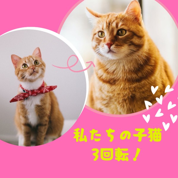 お誕生日コラージュ2