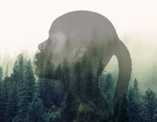 Exemple de photo en double exposition