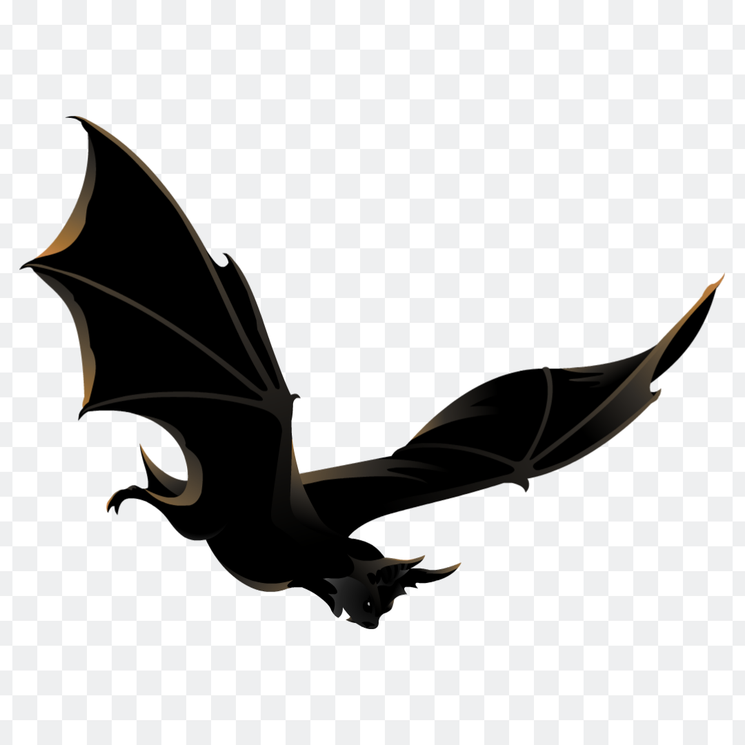Flying bat png transparent
