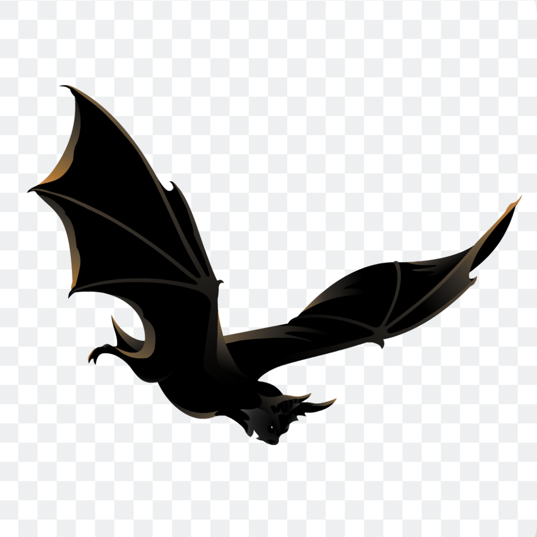 Flying black bat