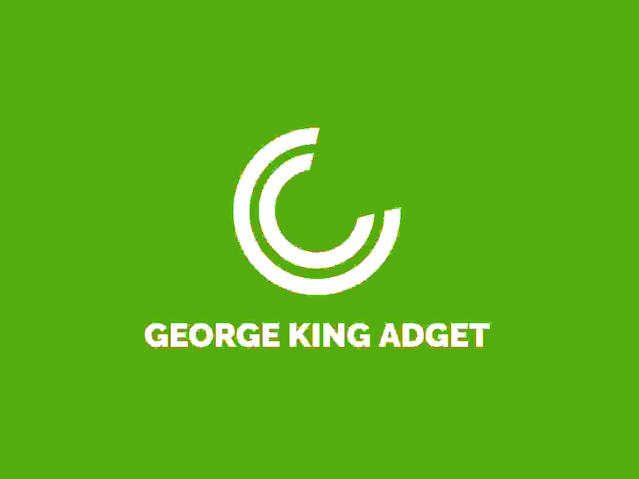 Flag Maker Make A Flag Online For Free Fotor