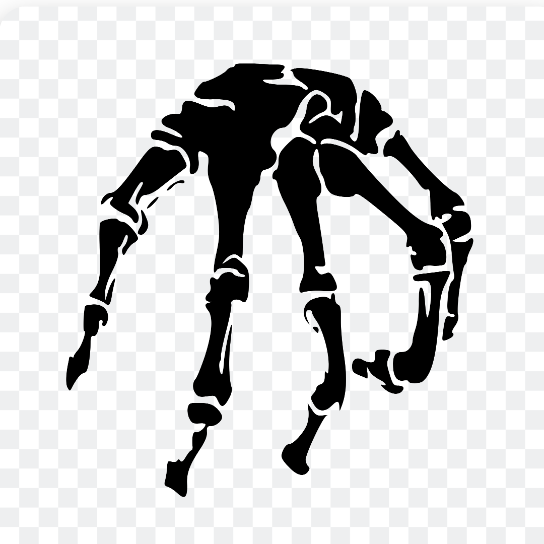 Horror skeleton hand PNG for Halloween
