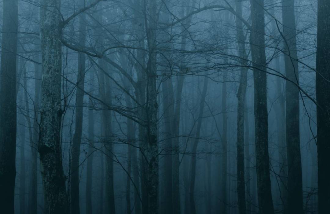Scary forest