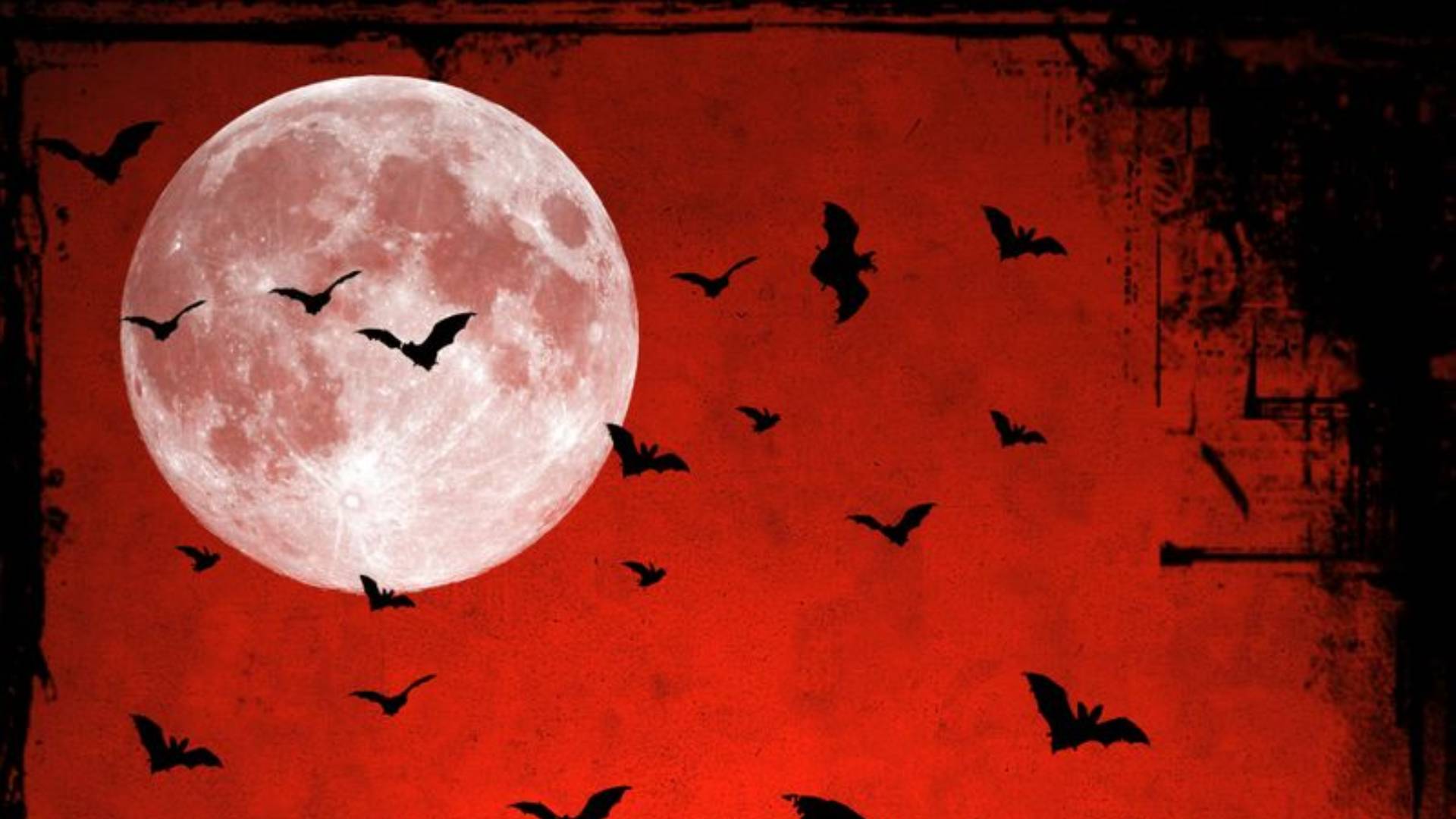 Spooky red Halloween night wallpaper