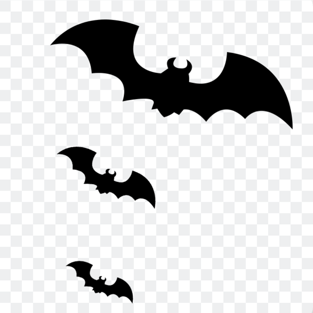 Three black bats png image
