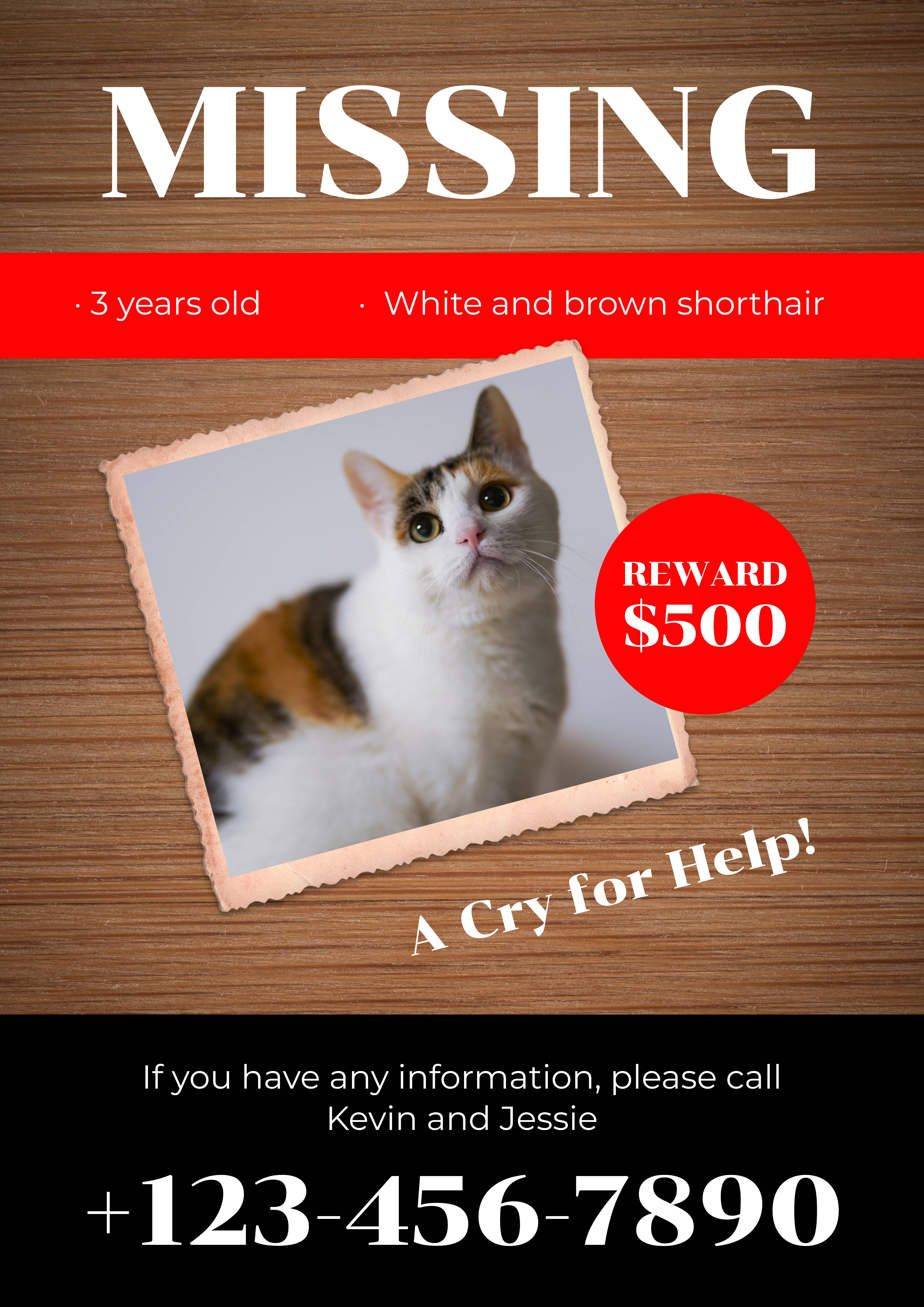 Wooden background retro missing cat ad