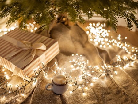 5 Practical Steps for Shooting Perfect Christmas Lights
