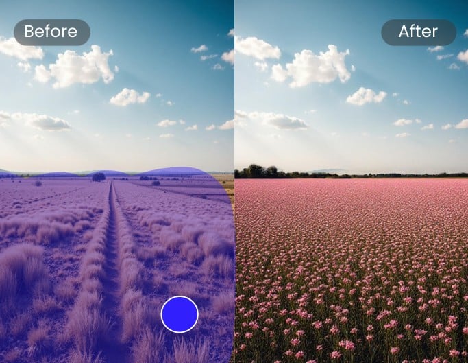 AI image filler featuring replacing the withered grass with a blooming grass