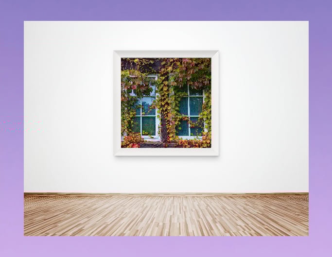 How to add a frame to a photo in photo infoupdate