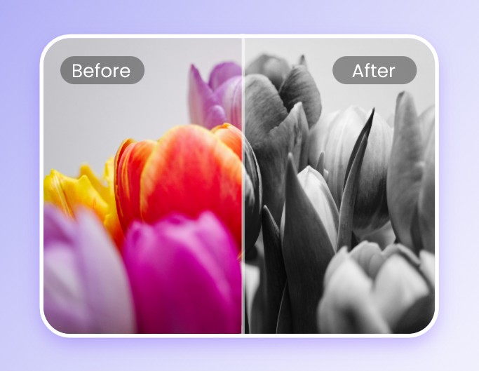 Add black and white filter to pink and yellow flower image