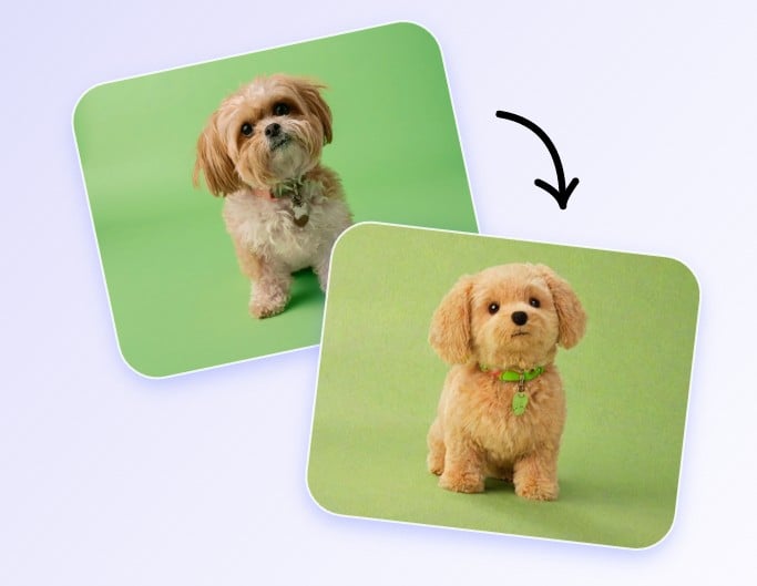 Apply cartoon filter to cartoonize your dog image