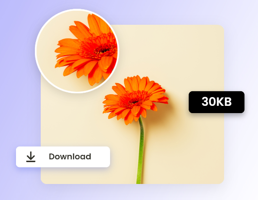 Compress JPG To 30 KB: Free Online Image Compressor | Fotor