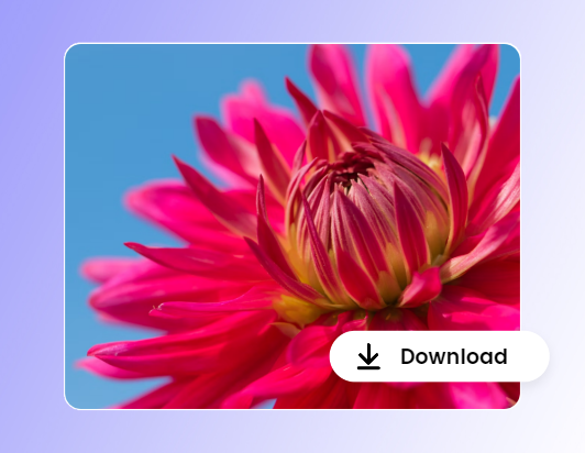 Laden Sie das Blumenvideo nach der Farbkorrektur mit kräftigeren Farben herunter