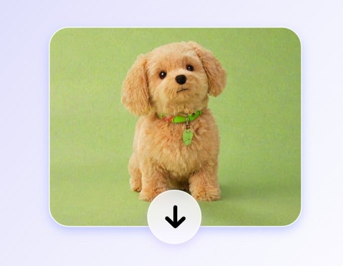 Download your cute cartoon yellow dog