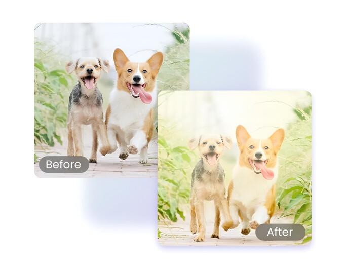 Effet lumière parasite