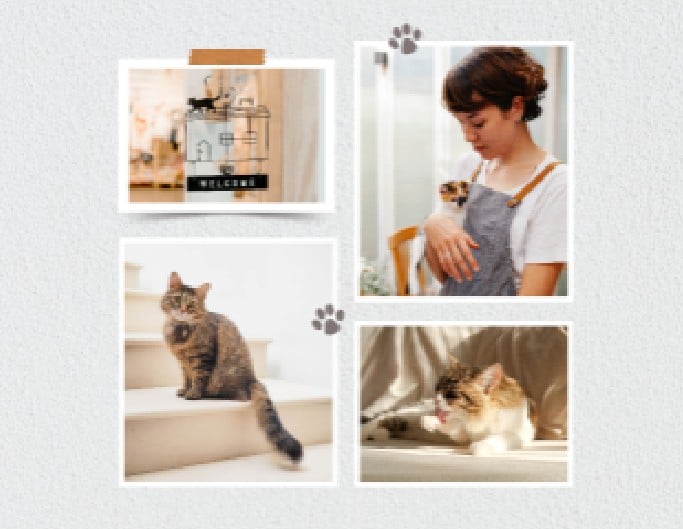 画像コラージュ