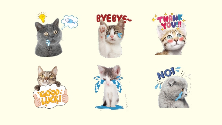 Cute Animals Stickers  Buy Cute Animals Stickers Online