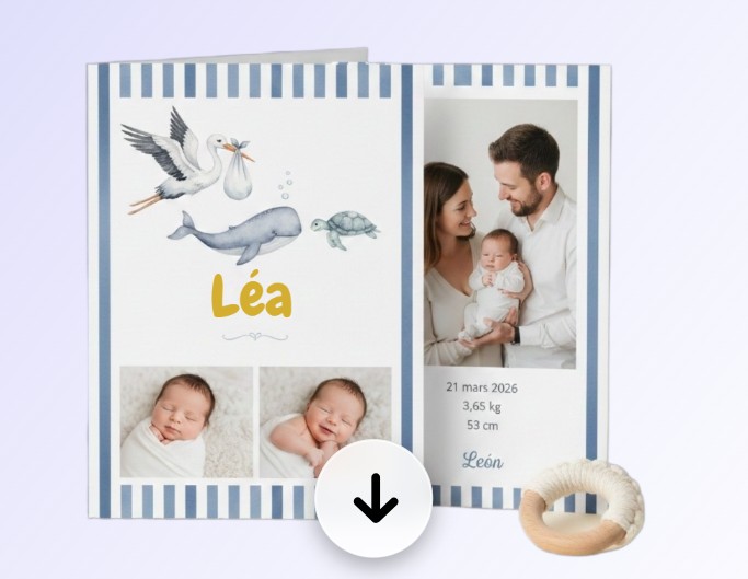 Prévisualiser et télécharger