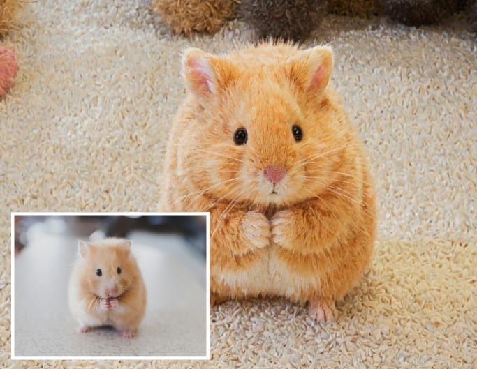 Turn a picture of a hamster standing on a table into cartoon style