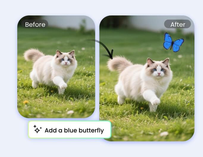 Ajouter un papillon à une image de chat sur la pelouse