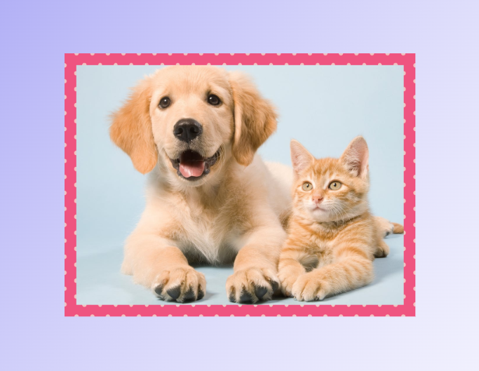Add cute border to a photo of a cat and a dog in a light green bg