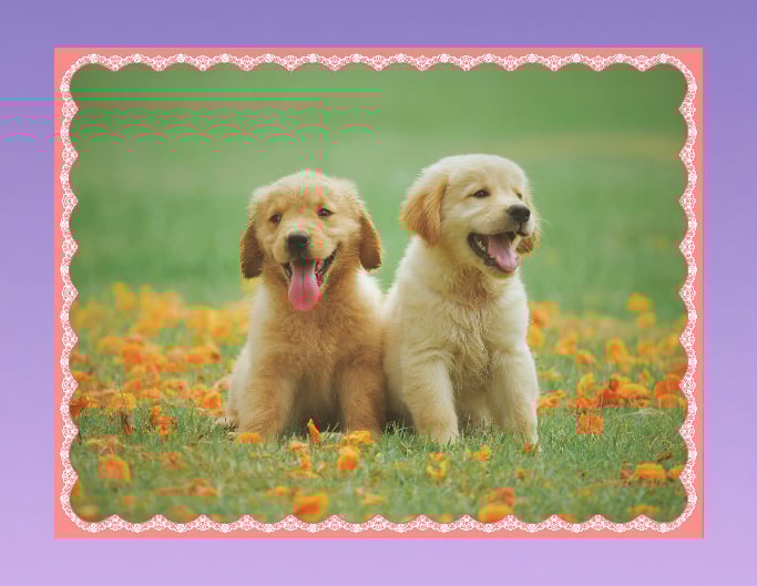 Add cute frame to a photo of two happy dogs