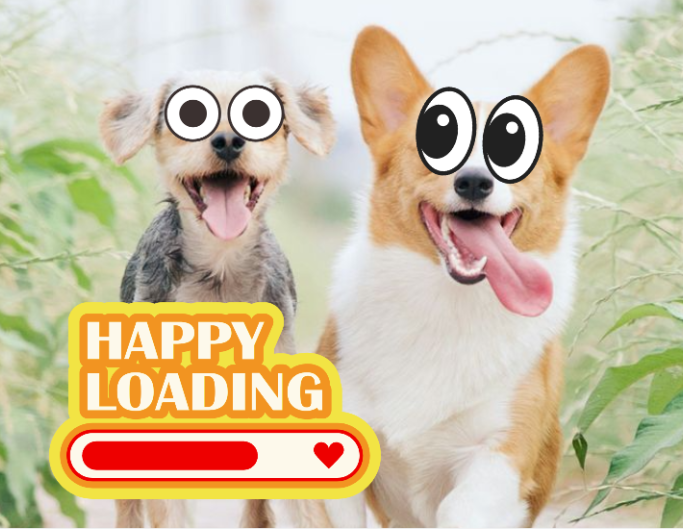 Add funny stickers for your lovely pets in fotor