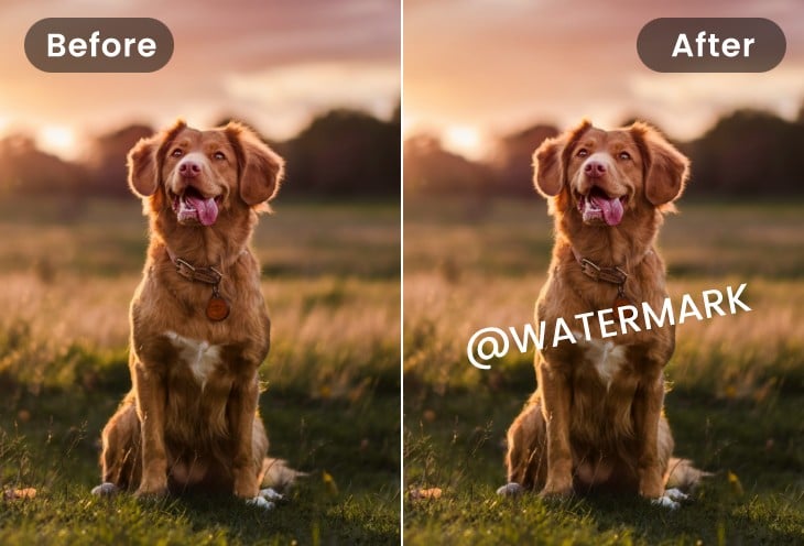 写真に透かしを追加する