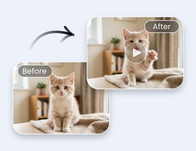 猫の写真にアニメーションを付ける