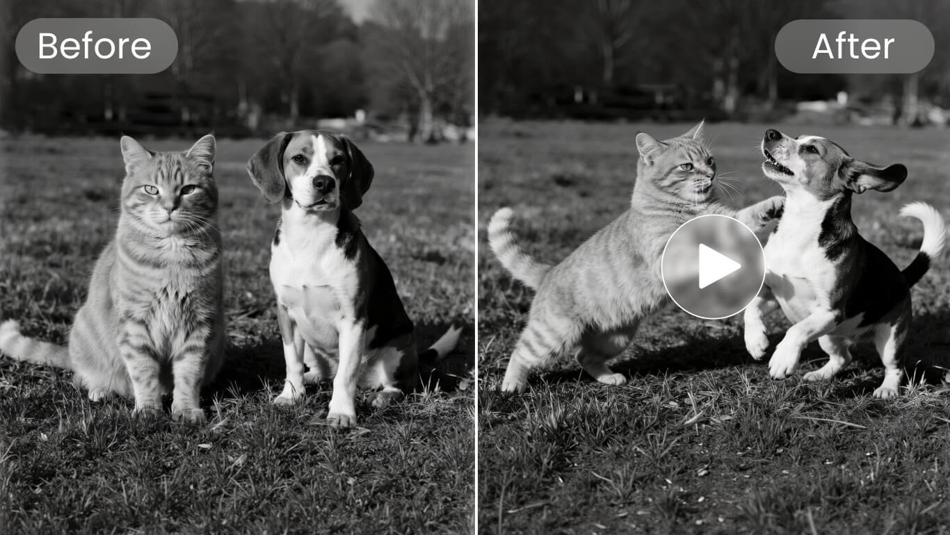 Animate an old photo of a cat and dog