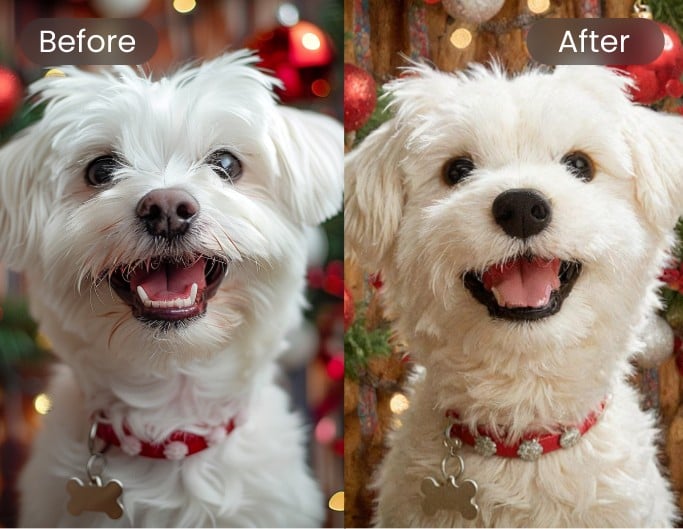 Apply toy filter to your dog and make it look like a puppy toy