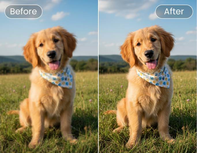 Batch remove pixelation from images