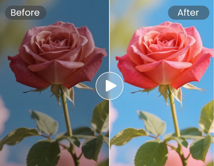 Brighten low light video brightness and saturation of a flower