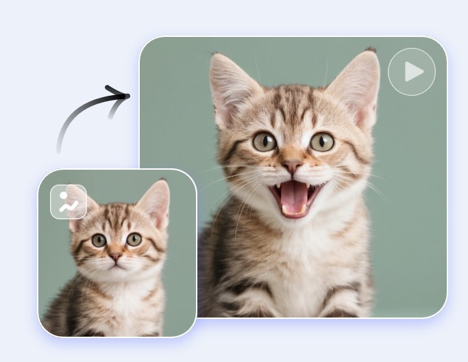 Convert a cat image into a spealing character video