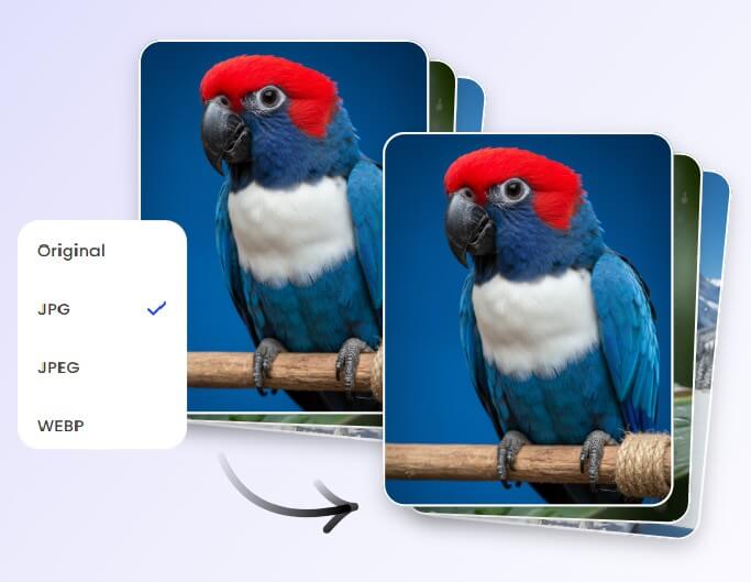 Convert photo formats in bulk