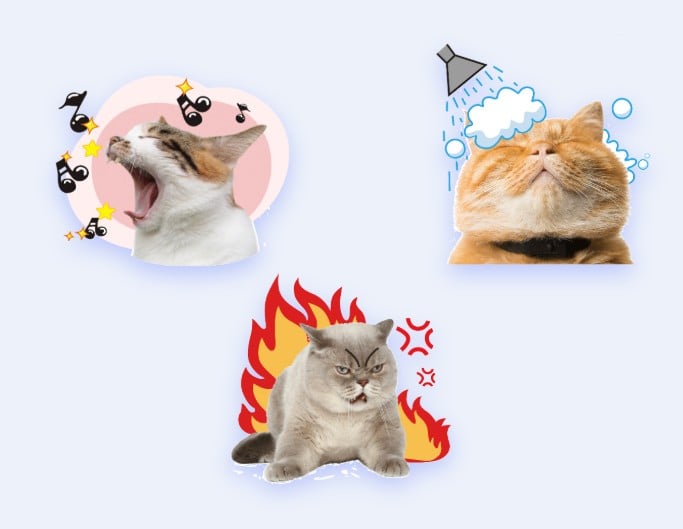Create whatsapp stickers for cute cats in fotor