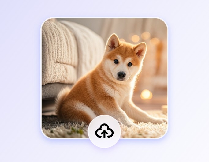 犬の写真をアップロード