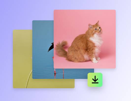 Download all the batched cropped images