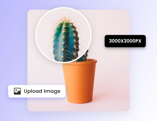 Download the converted 3000 pixels photo