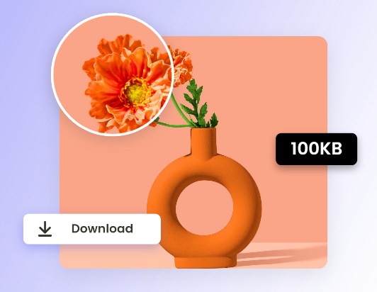 Compressed Image Example