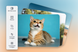 Edit photos such as cat landscape and morein a bulk