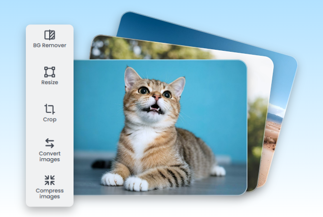 猫や風景などの写真をまとめて編集