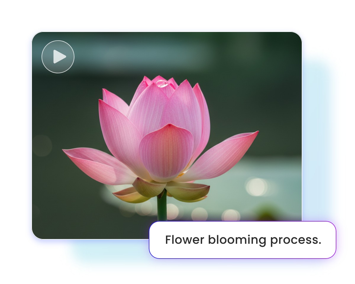 Enter the prompt to create a blooming lotus video