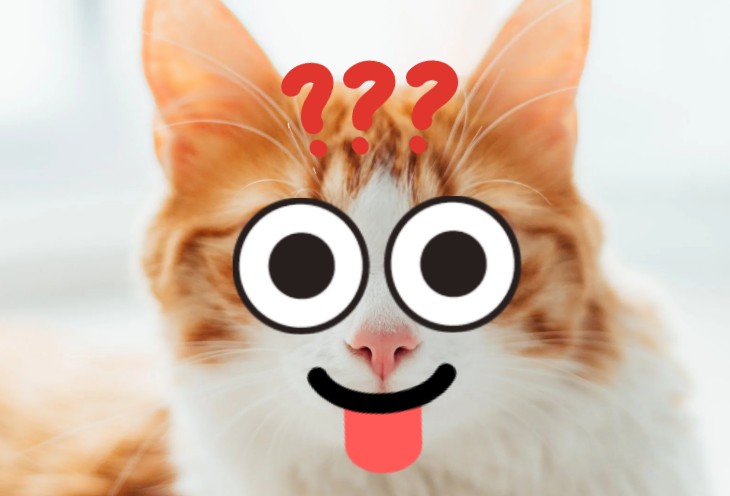 Image sticker overlay