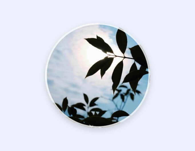 青空と木の葉のシルエットが映える大人っぽいLINEアイコン向けの風景画像